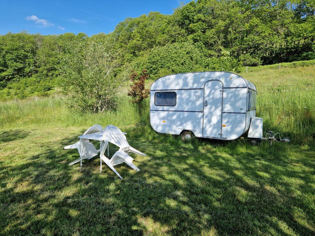 Camping La Foret Du Morvan Vintage Caravan Larochemillay Exterior foto